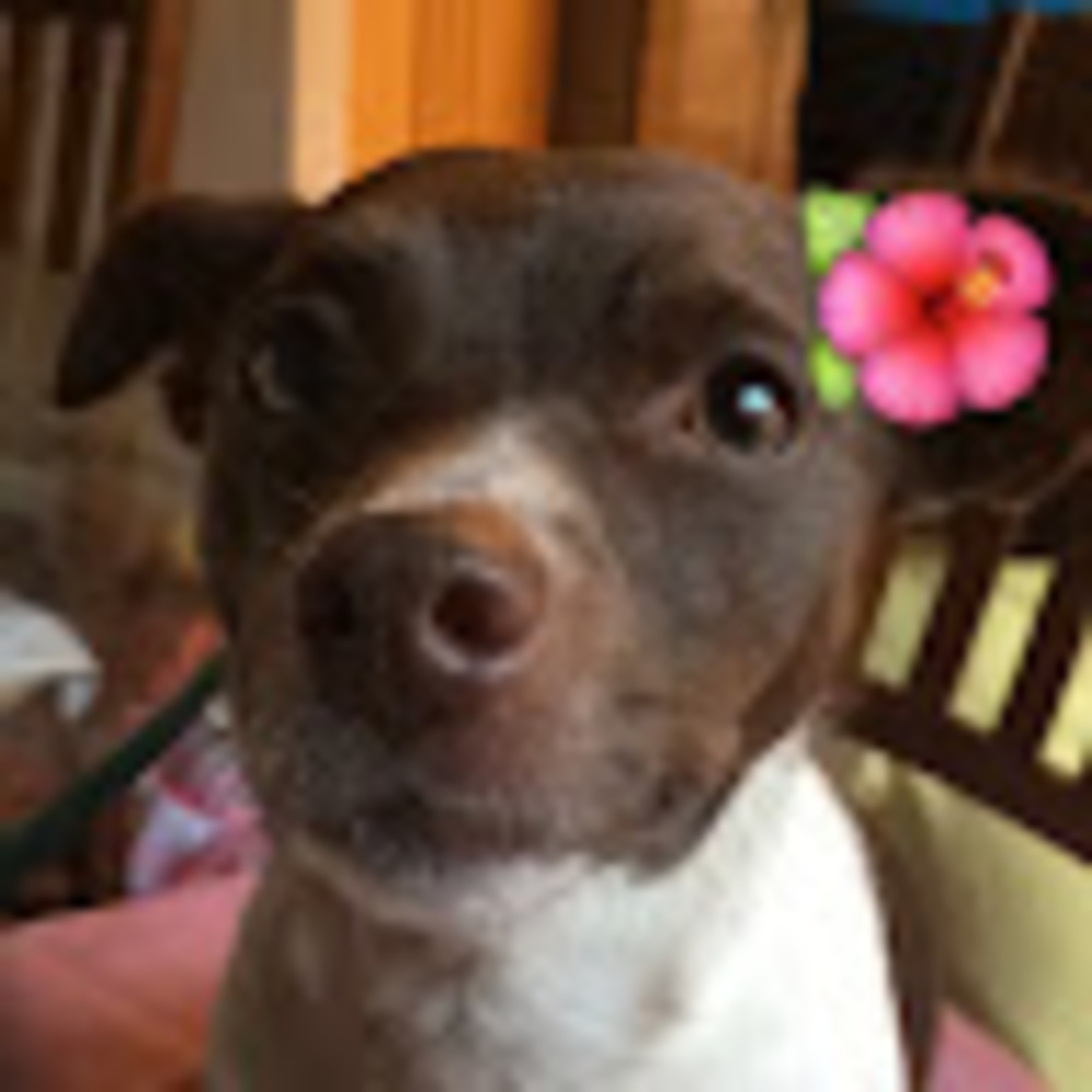 Meet your Posher, Faith